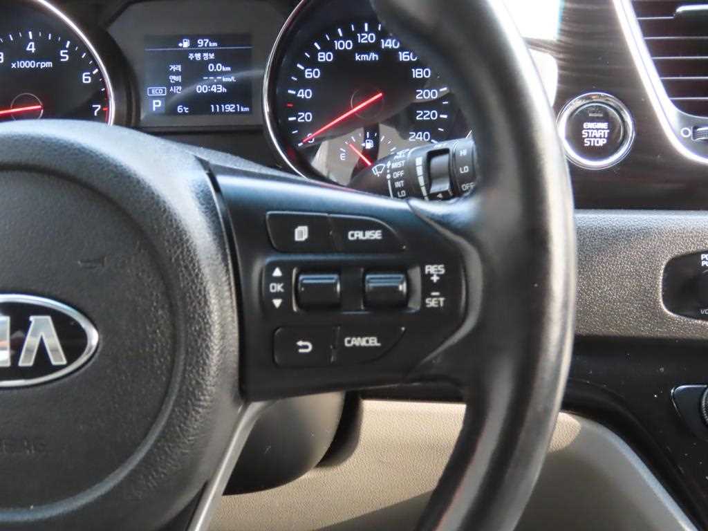 KIA Carnival - Vista 12