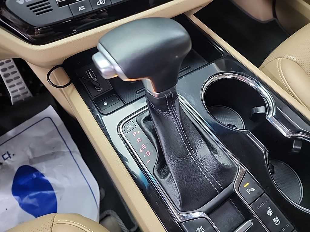 KIA Carnival - Vista 8