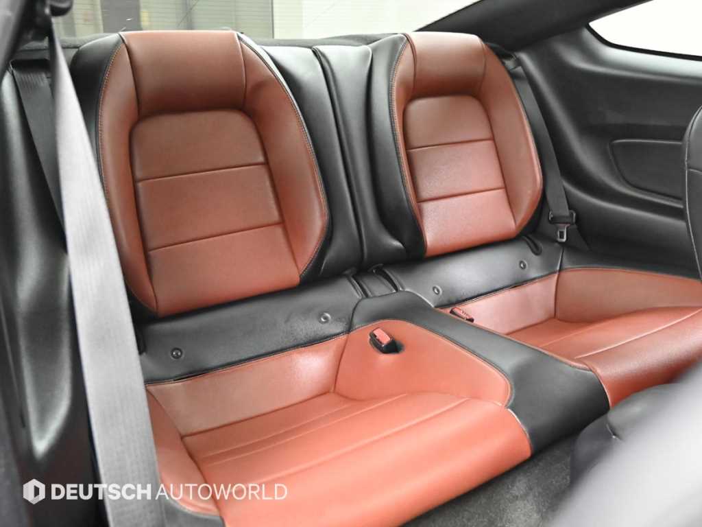 Ford Mustang - Vista 12