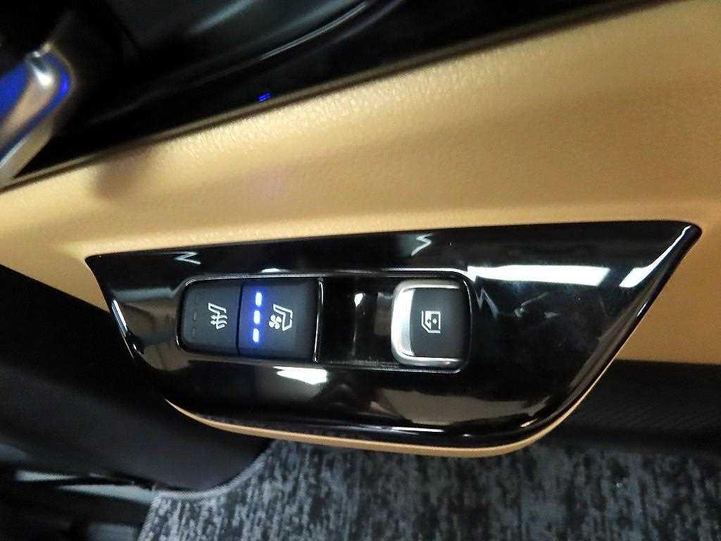 KIA Carnival - Vista 12