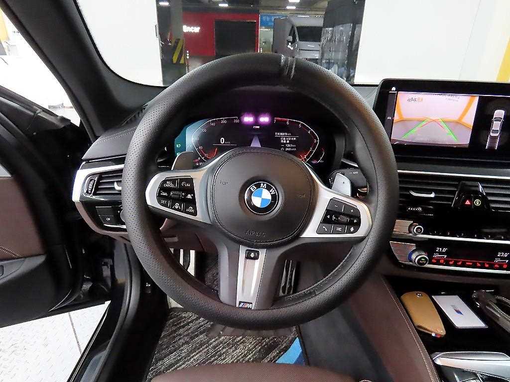 BMW 5 Series - Vista 9