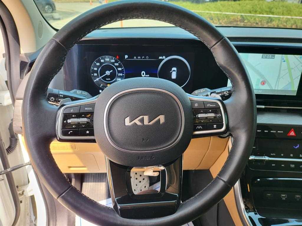 KIA Carnival - Vista 8