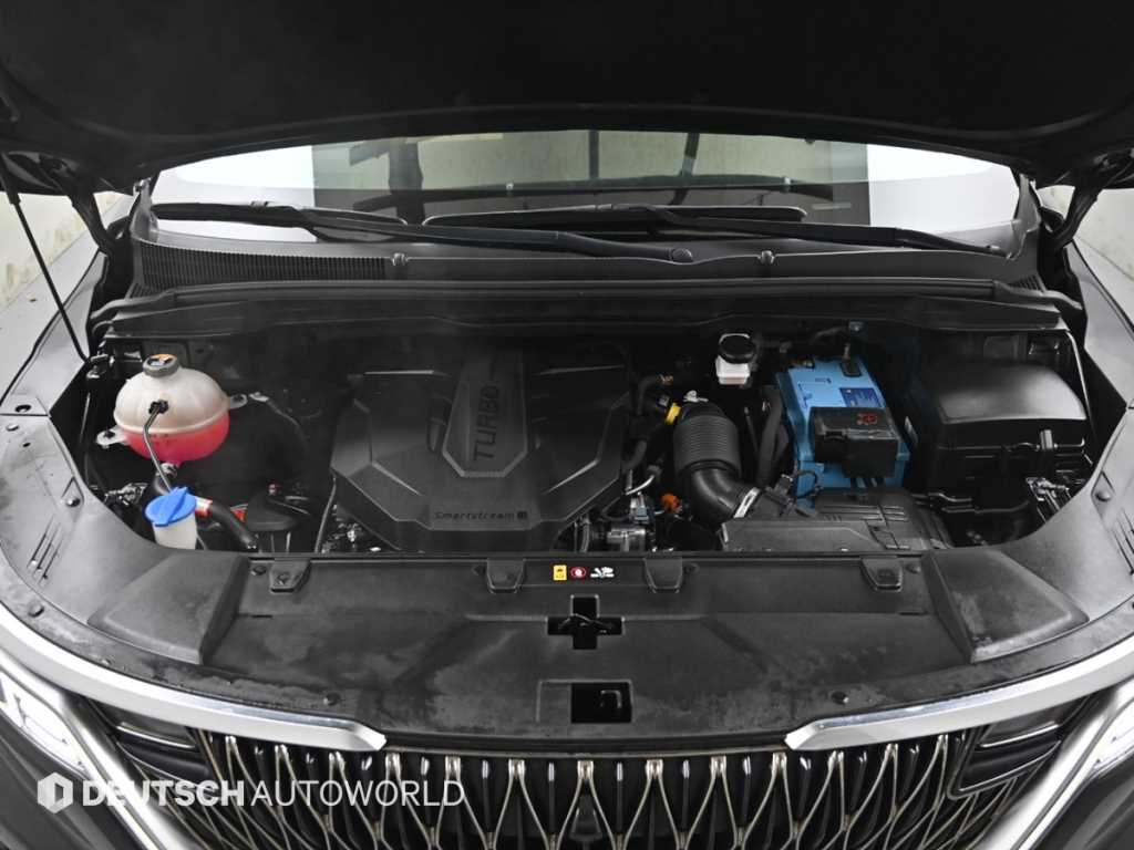 KIA Carnival - Vista 6