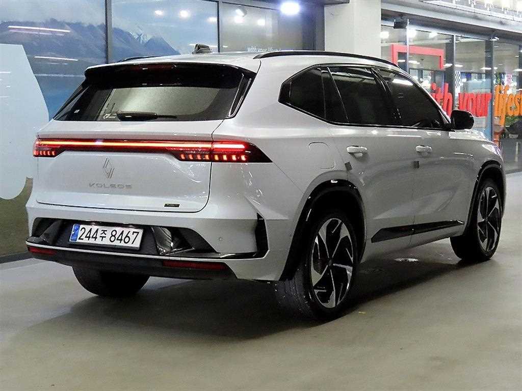 SAMSUNG Grand Koleos - Vista 5