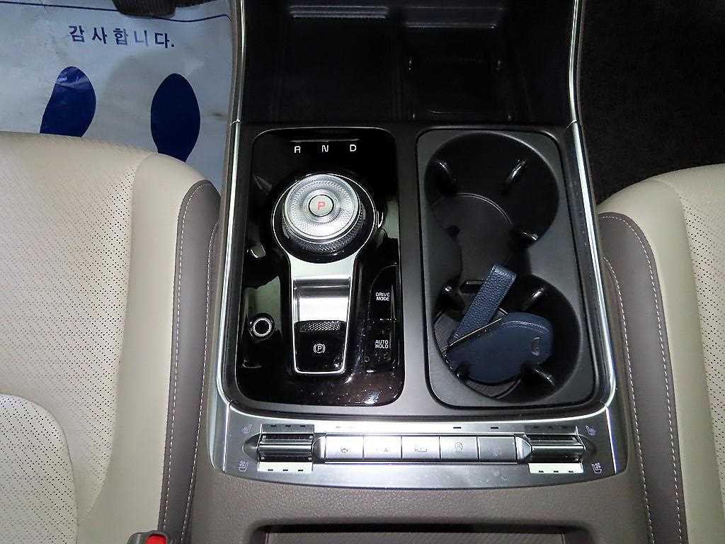 KIA Carnival - Vista 12