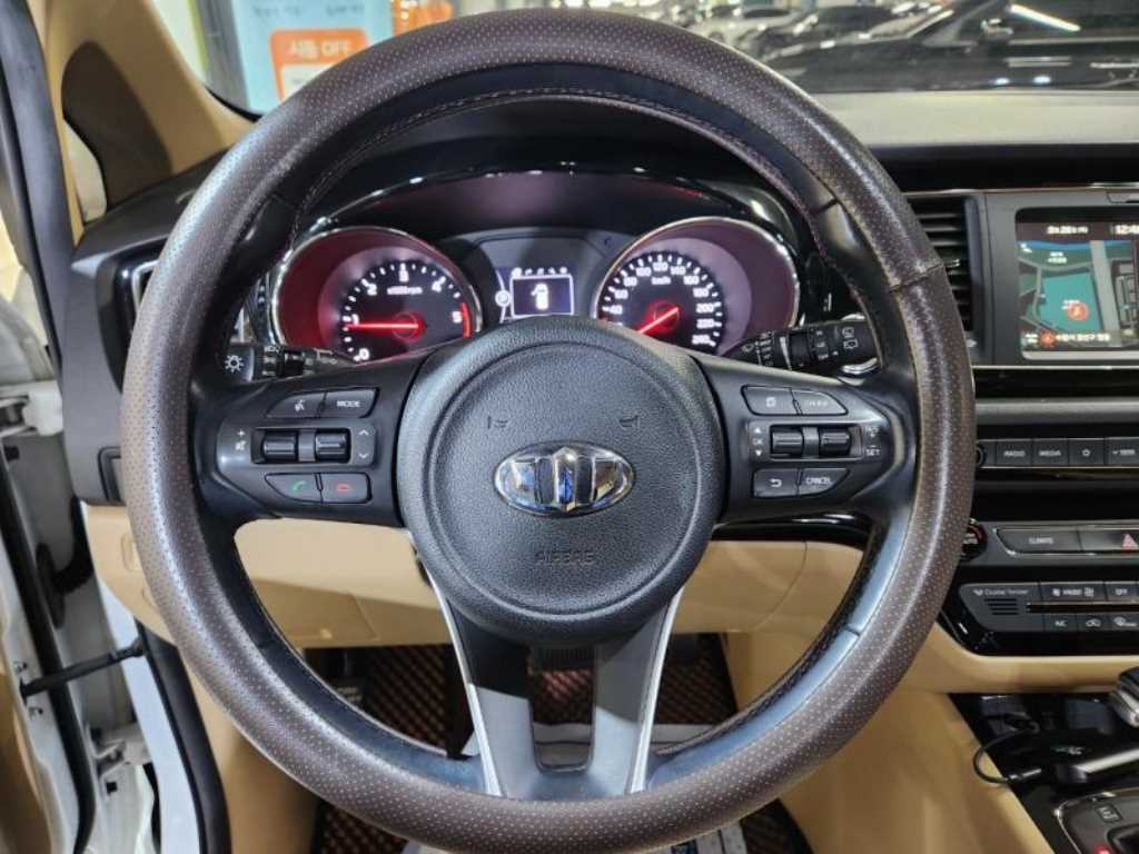 KIA Carnival - Vista 8