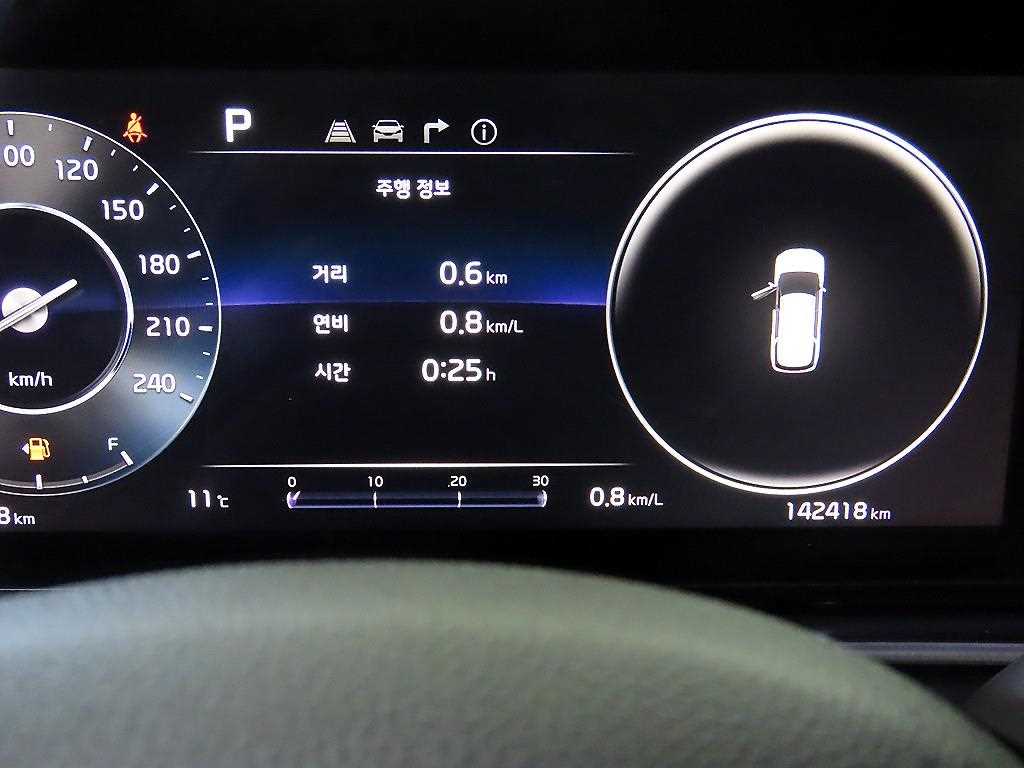 KIA Carnival - Vista 9