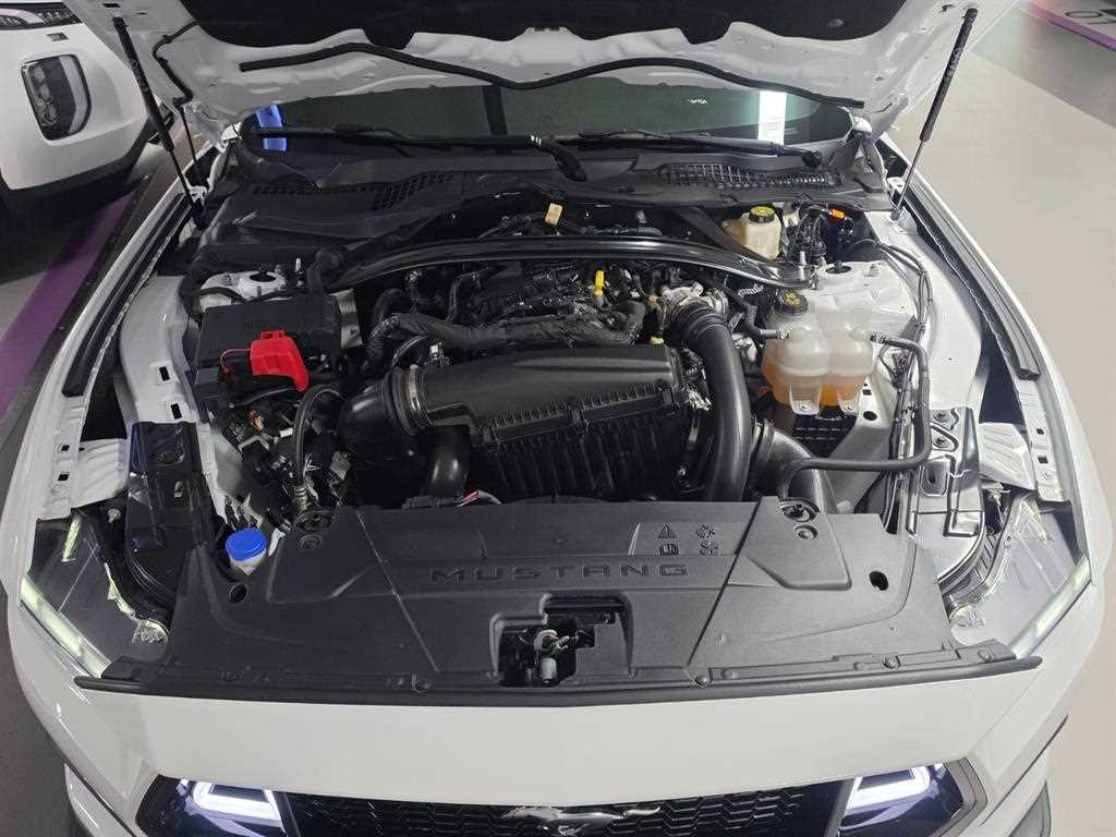 Ford Mustang - Vista 6