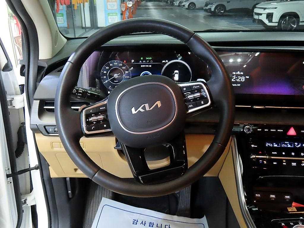 KIA Carnival - Vista 8