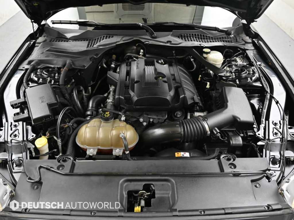 Ford Mustang - Vista 6