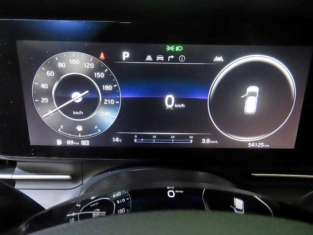 KIA Carnival - Vista 9