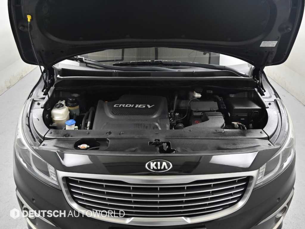 KIA Carnival - Vista 6