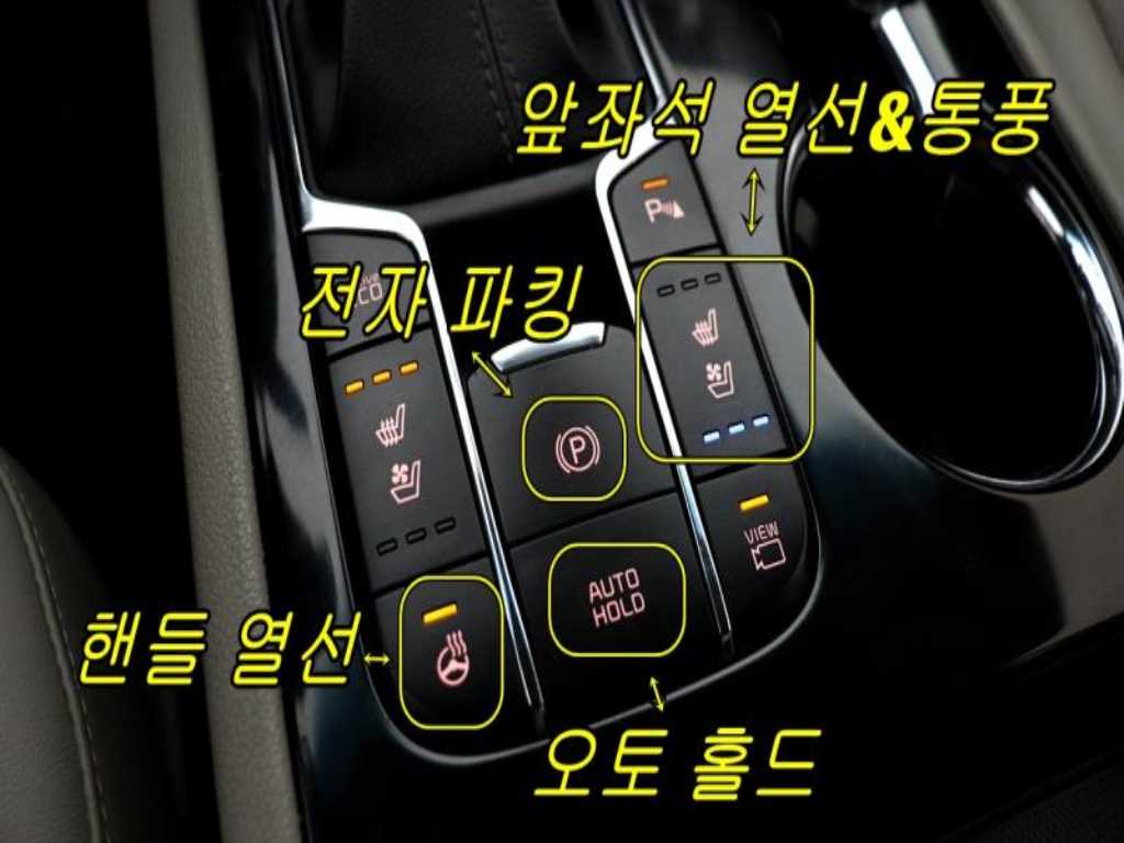 KIA Carnival - Vista 6