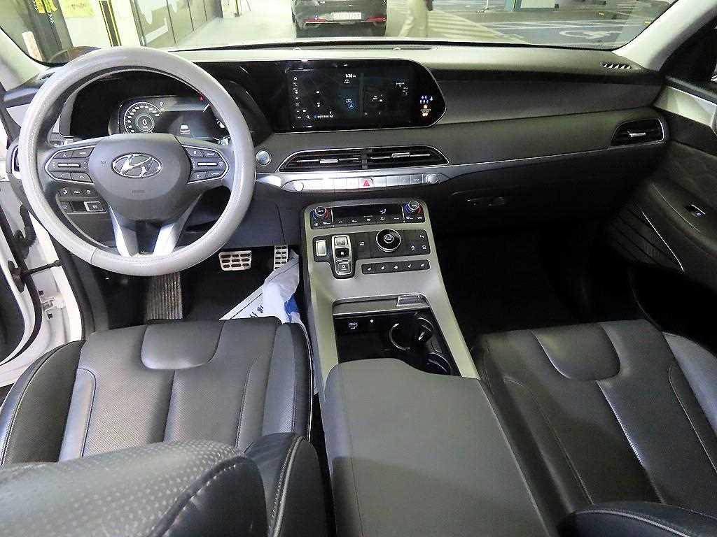 HYUNDAI Palisade - Vista 10