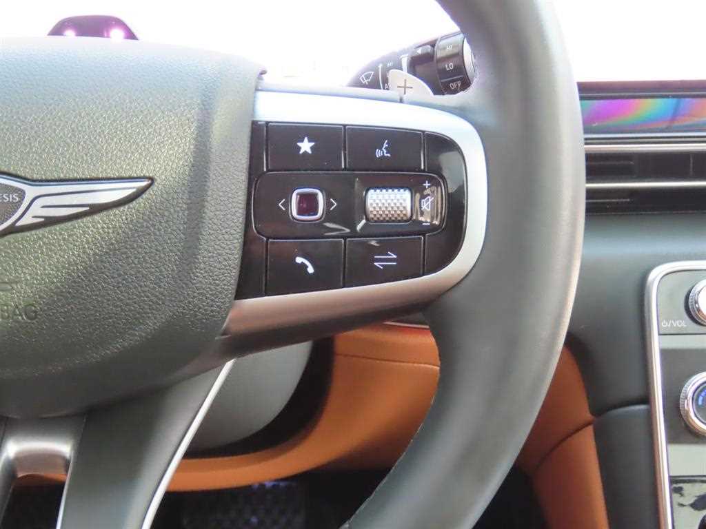 Genesis GV80 - Vista 12