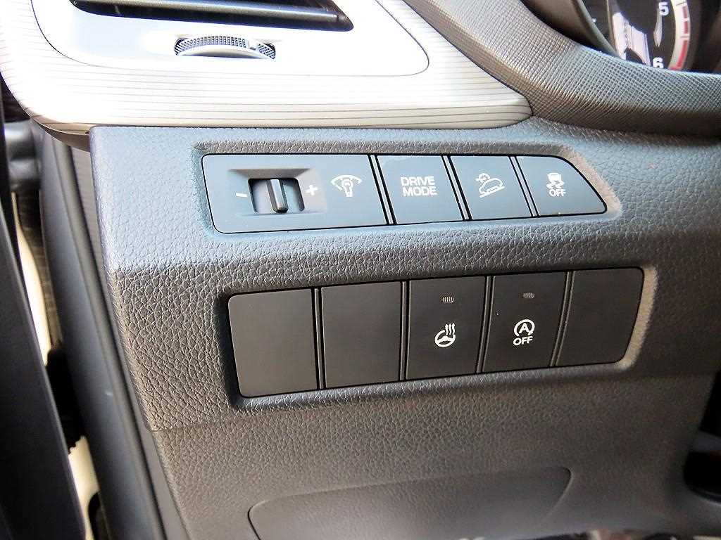 HYUNDAI Maxcruz - Vista 12