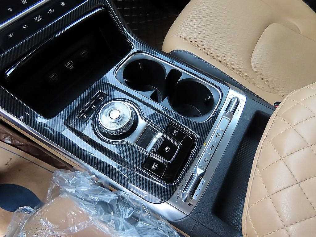 KIA Carnival - Vista 11