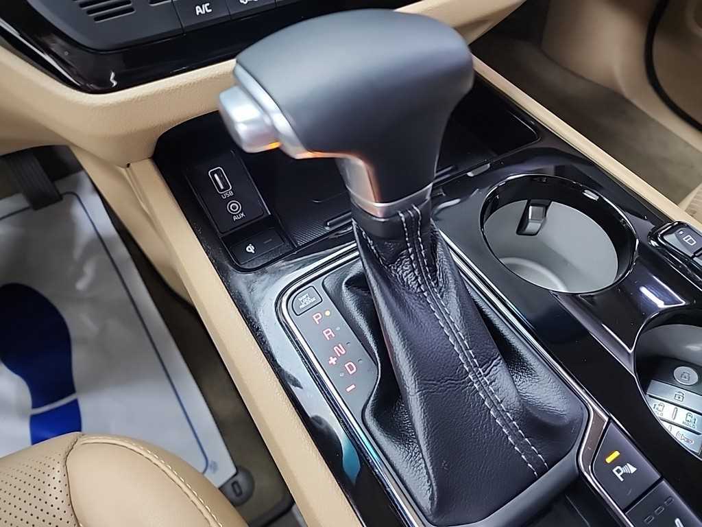 KIA Carnival - Vista 8