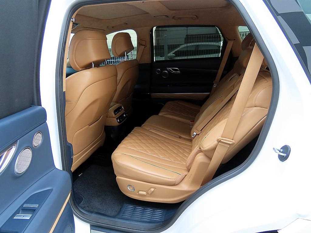 Genesis GV80 - Vista 6