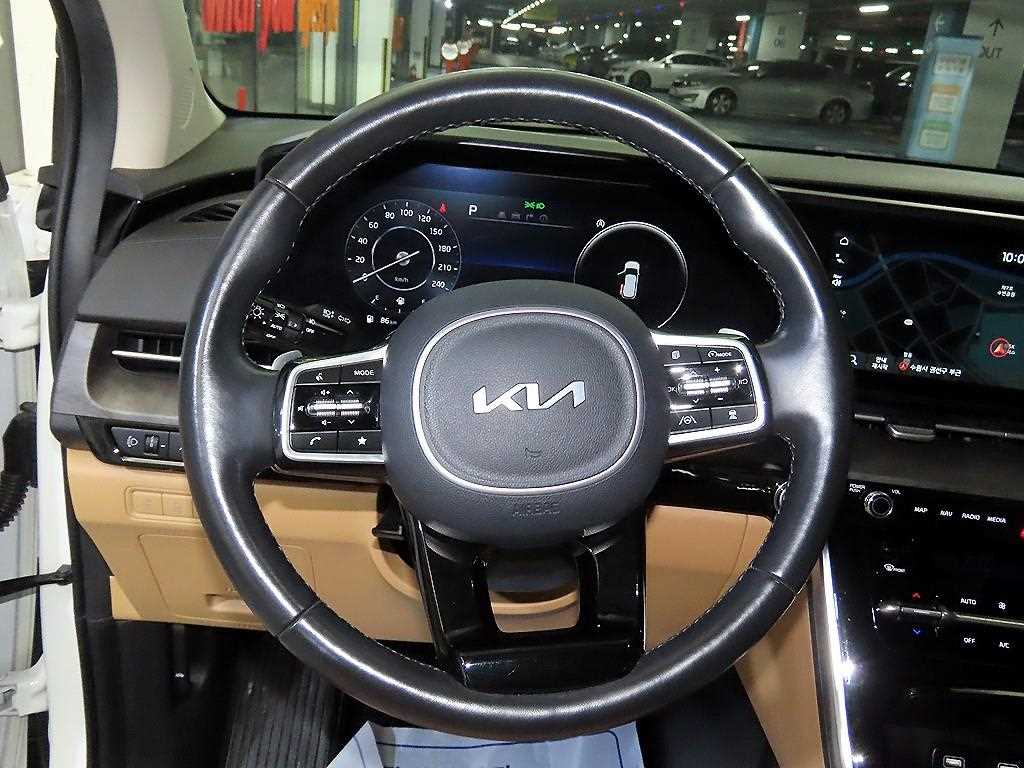 KIA Carnival - Vista 8