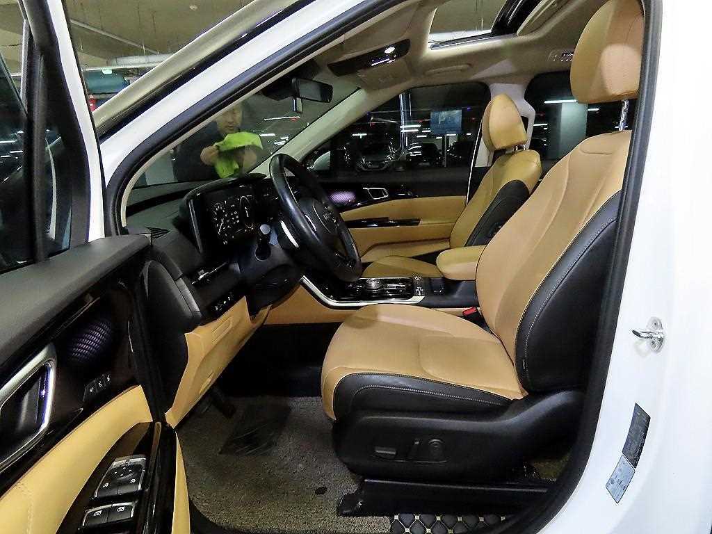 KIA Carnival - Vista 6