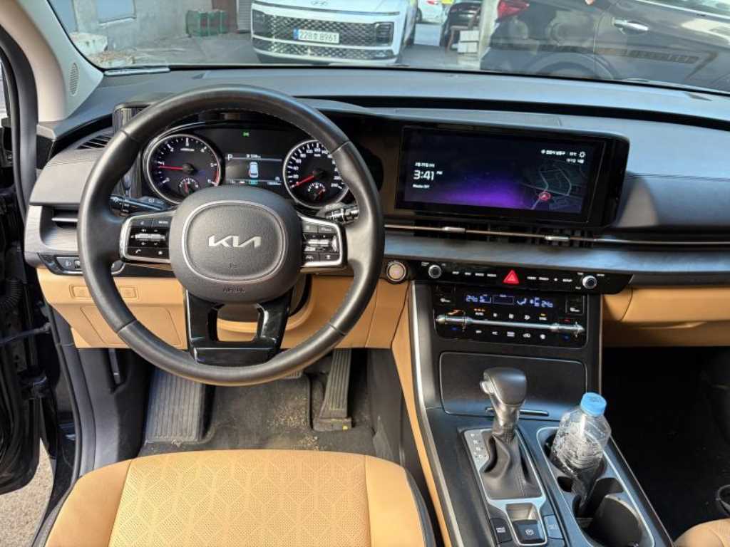 KIA Carnival - Vista 7
