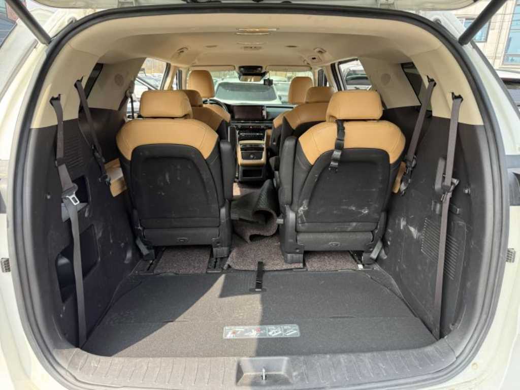 KIA Carnival - Vista 7