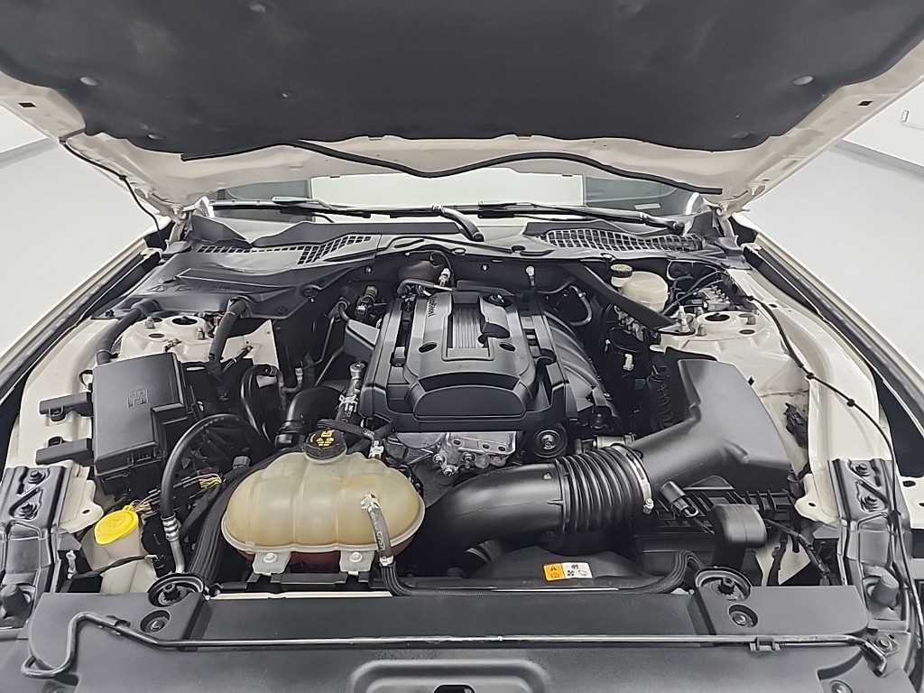 Ford Mustang - Vista 5