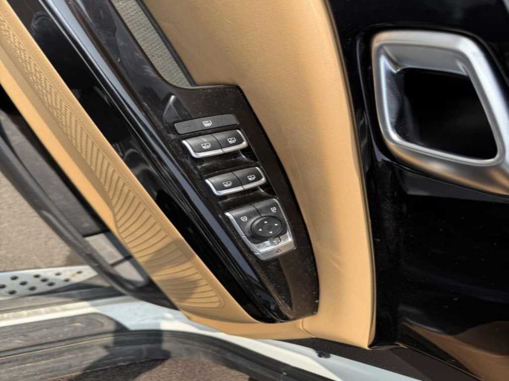 KIA Carnival - Vista 12