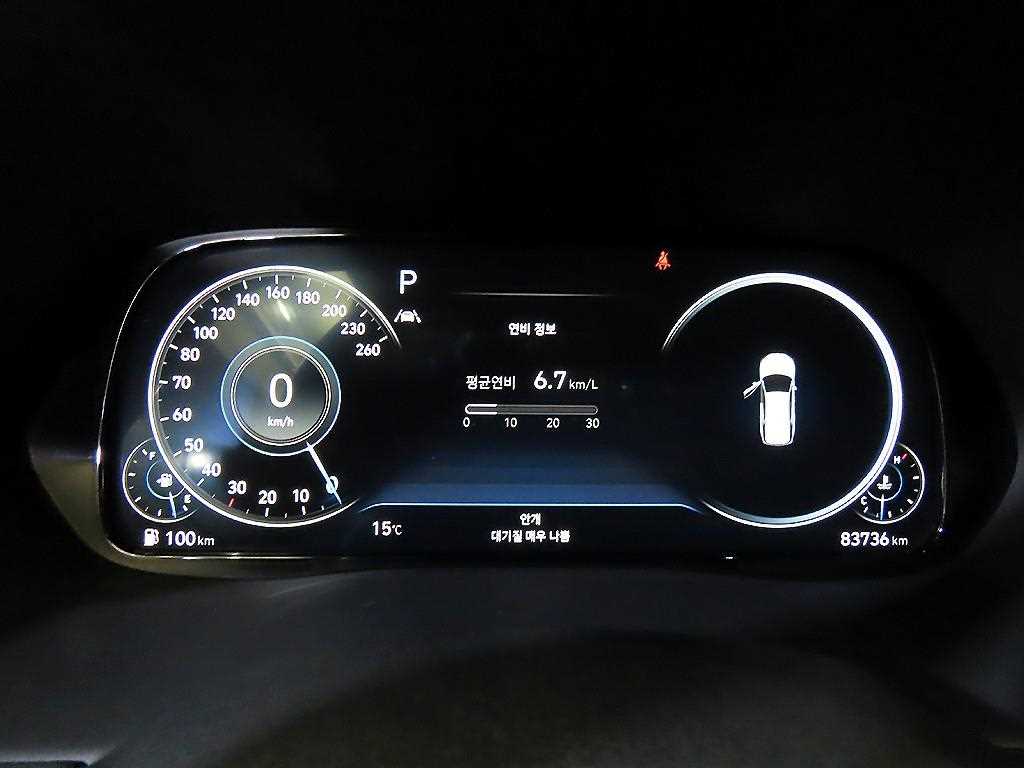 HYUNDAI Palisade - Vista 9