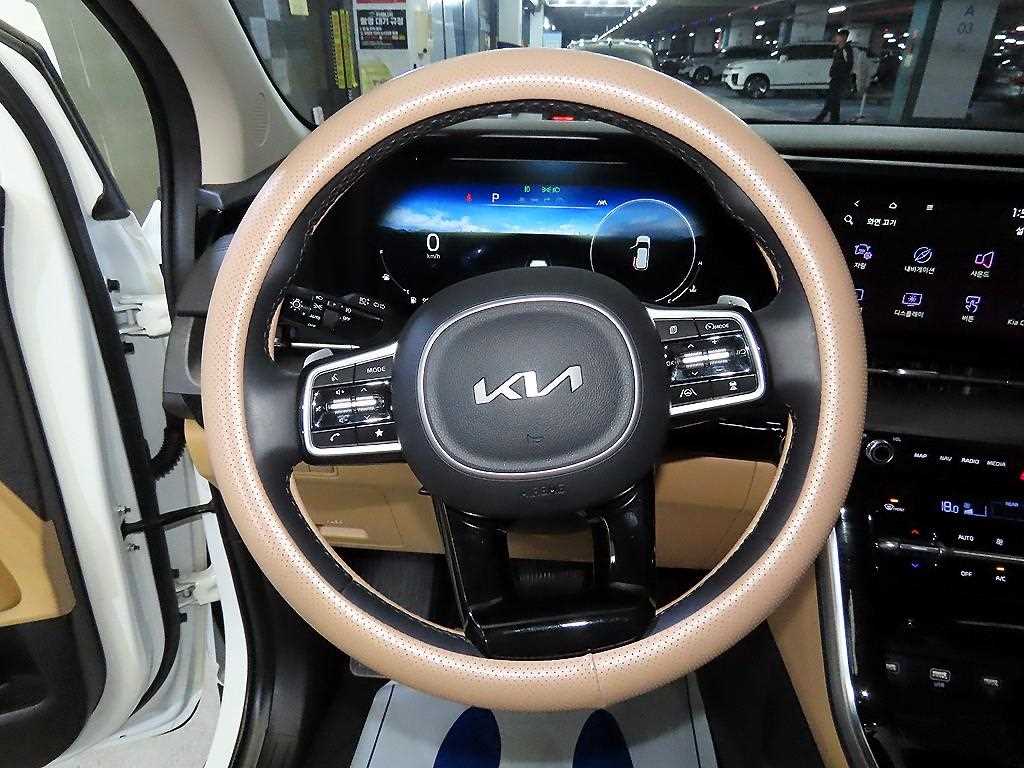 KIA Carnival - Vista 8