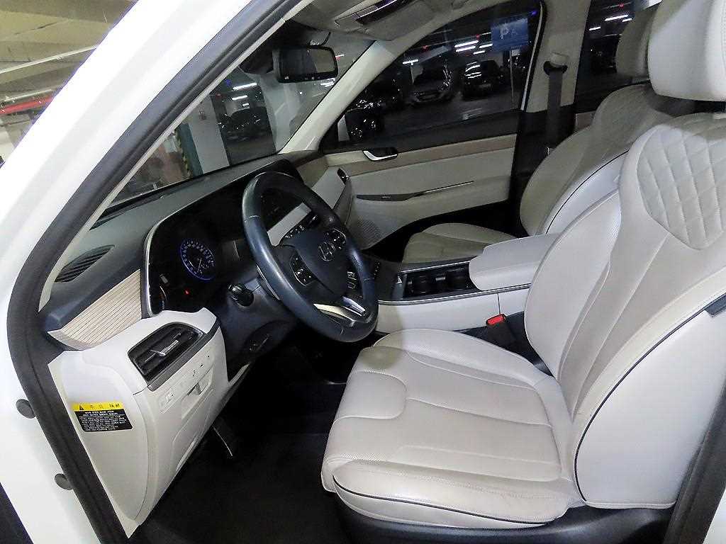 HYUNDAI Palisade - Vista 6