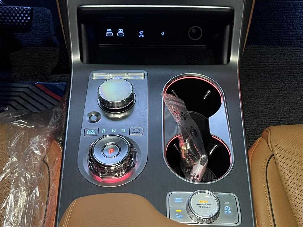 Genesis GV80 - Vista 8