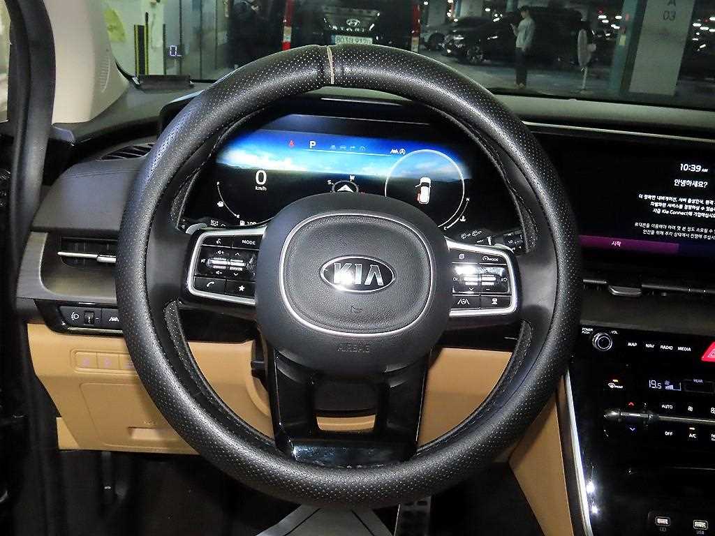 KIA Carnival - Vista 8