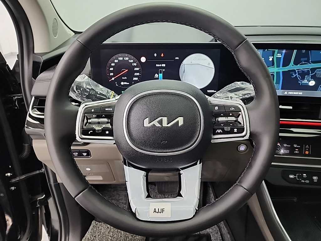 KIA Carnival - Vista 9