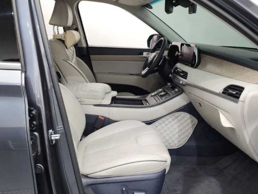 HYUNDAI Palisade - Vista 10