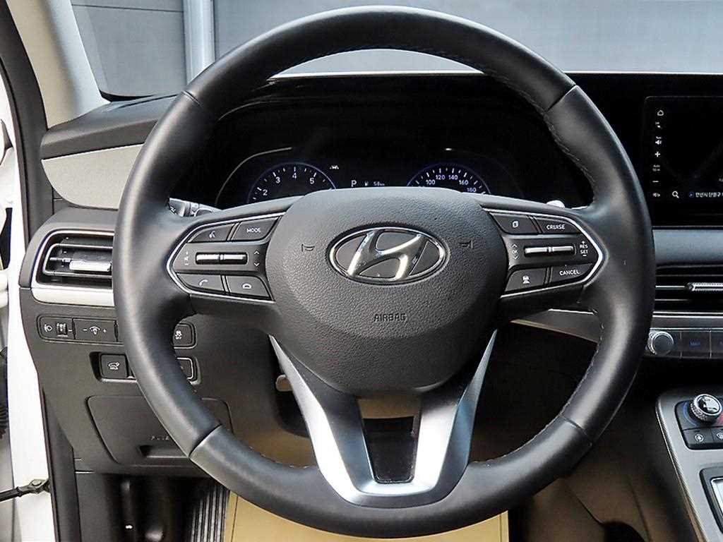 HYUNDAI Palisade - Vista 9