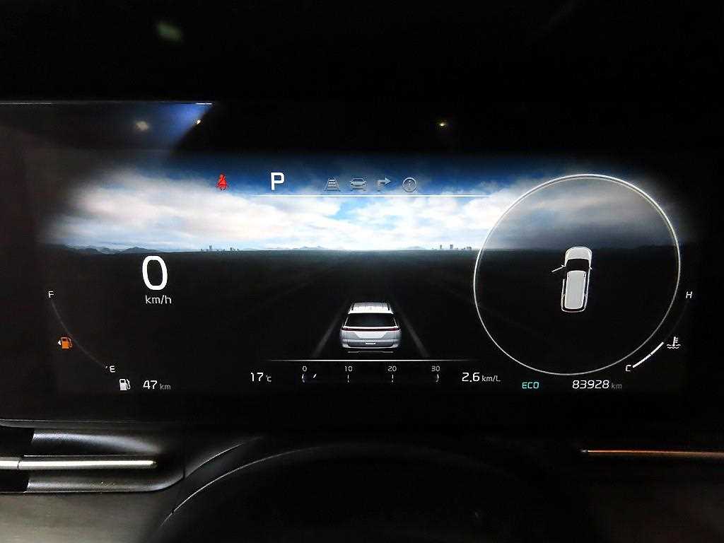 KIA Carnival - Vista 9