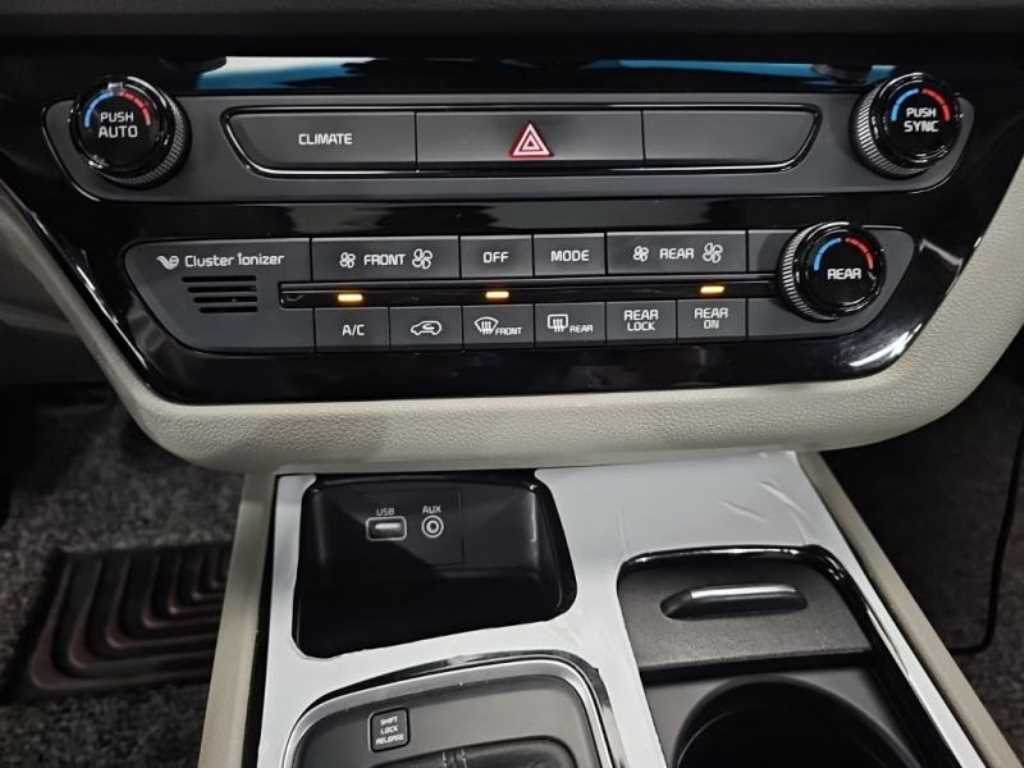 KIA Carnival - Vista 10