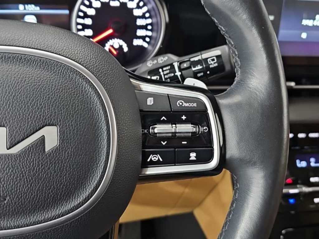 KIA Carnival - Vista 8