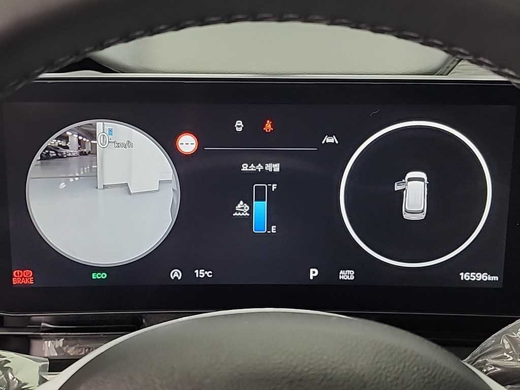 KIA Carnival - Vista 6