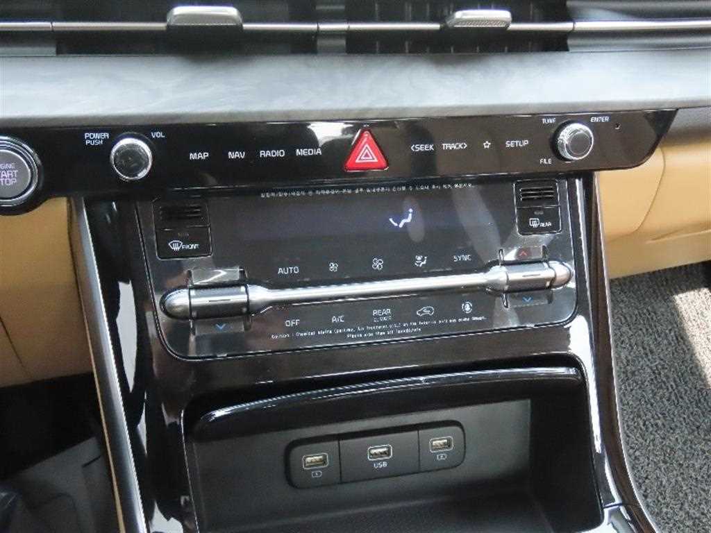 KIA Carnival - Vista 7