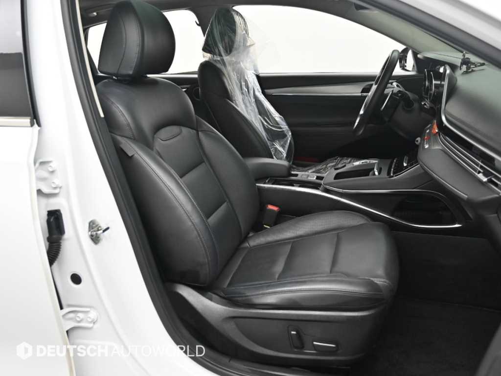 HYUNDAI Grandeur - Vista 10