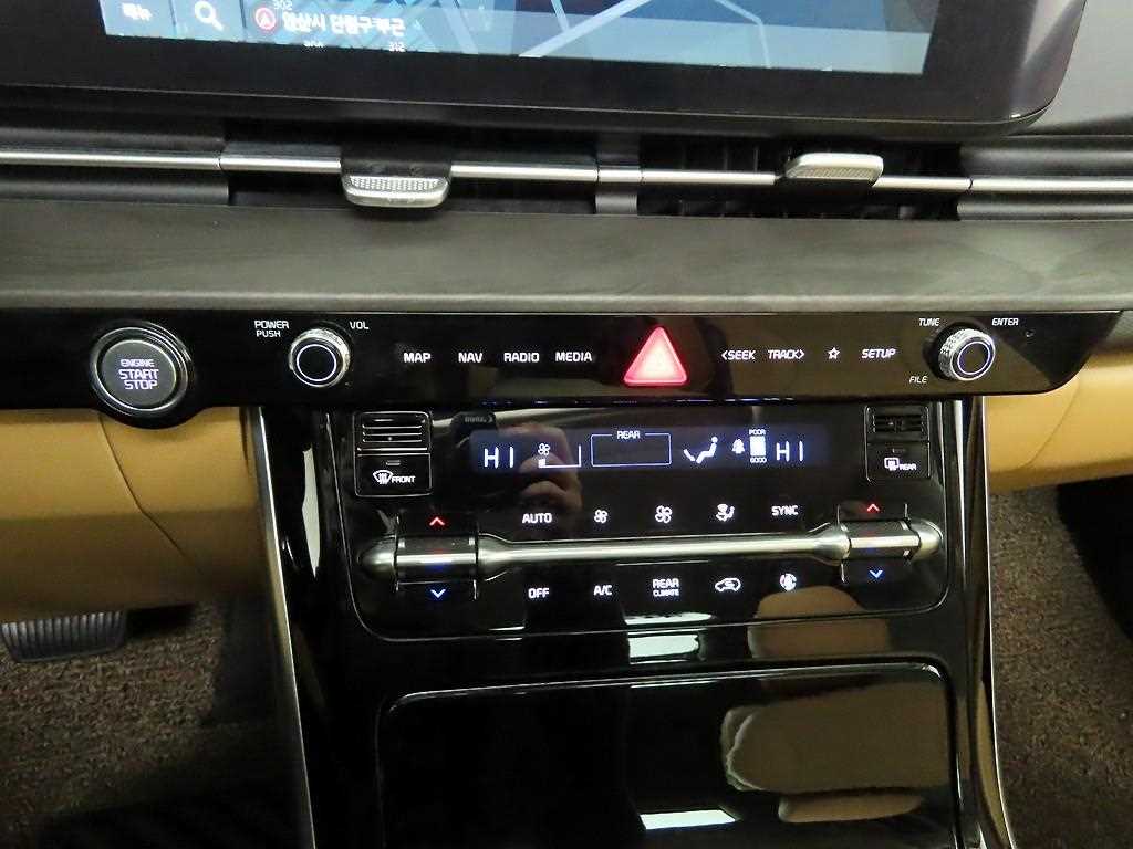 KIA Carnival - Vista 9