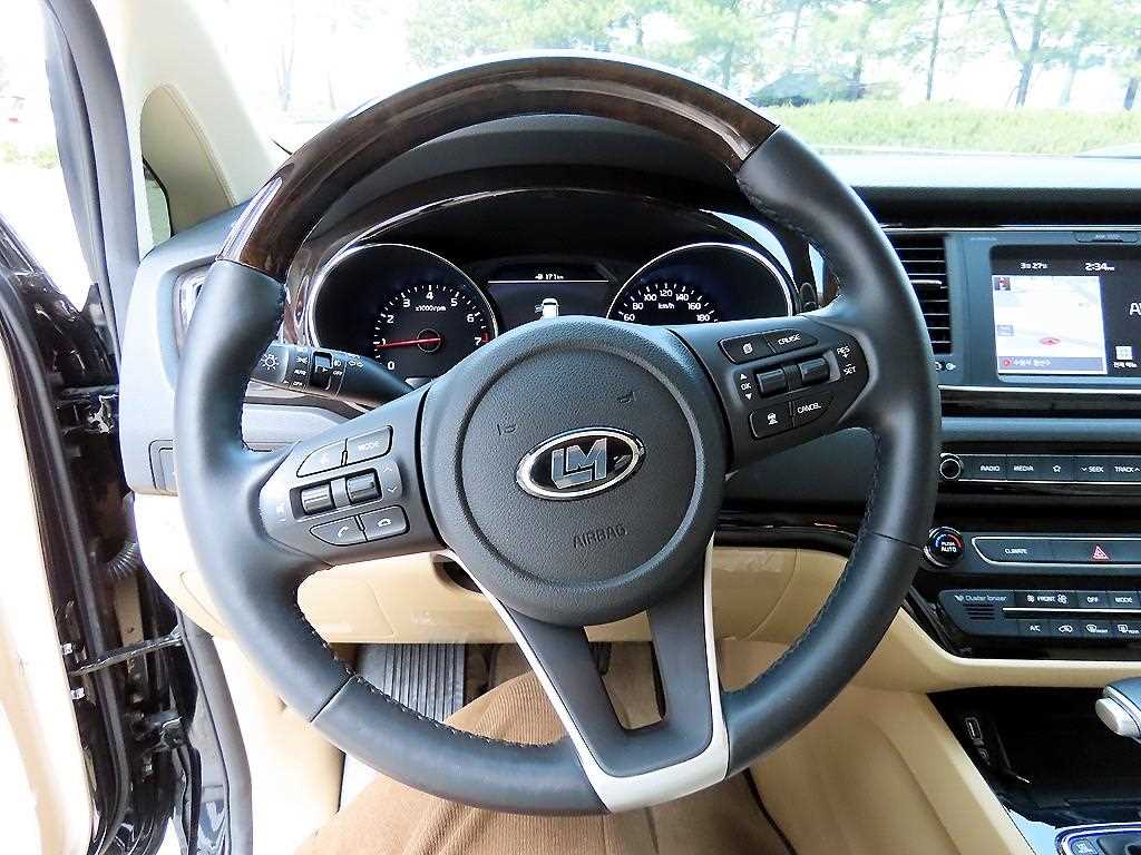 KIA Carnival - Vista 9