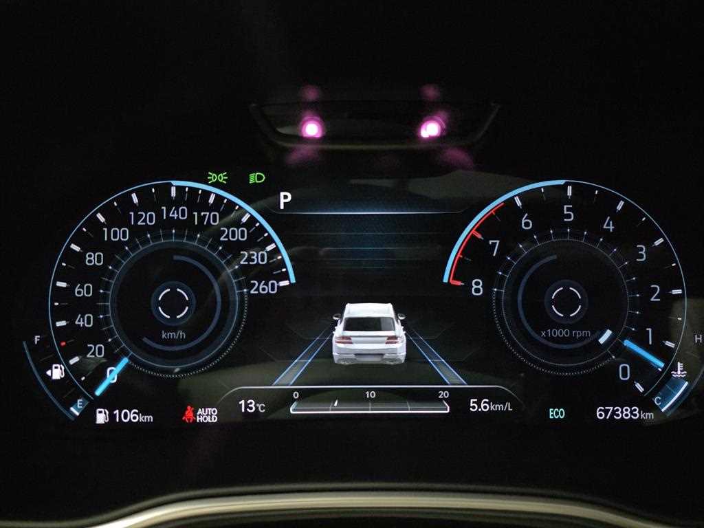 Genesis GV80 - Vista 10