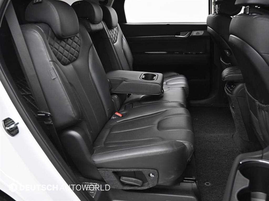 HYUNDAI Palisade - Vista 12