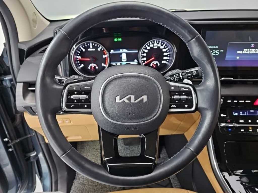 KIA Carnival - Vista 6