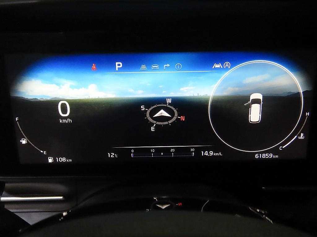 KIA Carnival - Vista 9