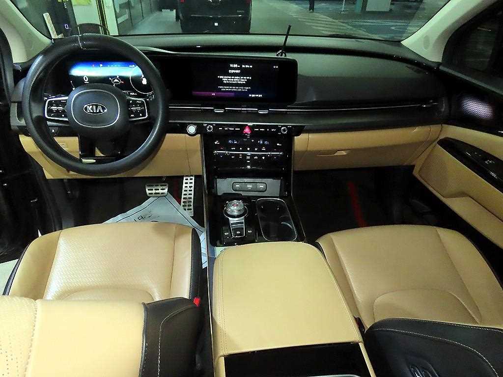 KIA Carnival - Vista 10